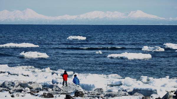 流氷が主役のまち・知床の自然と 暮らしを巡るネイチャーツアー